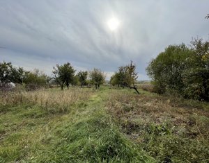 Telek eladó on Cluj-napoca
