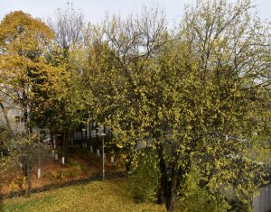 Lakás 4 szobák eladó on Cluj-napoca, Zóna Zorilor