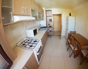 Appartement 2 chambres à louer dans Cluj-napoca, zone Manastur