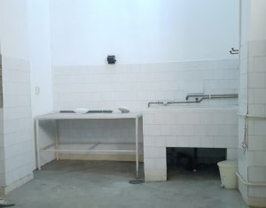 Laborator Servicii Medicale 195mp,langa Interservisan Gheorgheni
