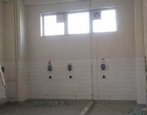 Laborator Servicii Medicale 195mp,langa Interservisan Gheorgheni