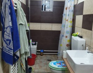 Maison 3 chambres à vendre dans Boldut, zone Centru