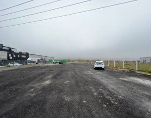 Telek kiadó on Floresti
