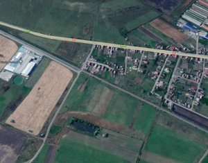 Land for sale in Rascruci