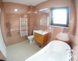 Appartement 2 chambres à louer dans Cluj-napoca, zone Borhanci