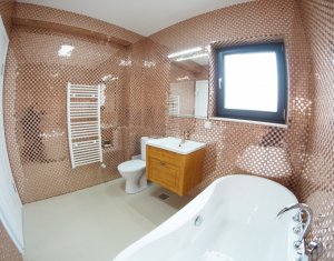 Appartement 2 chambres à louer dans Cluj-napoca, zone Borhanci
