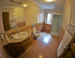 Birou de inchiriat in Zorilor, zona Gradinii Botanice, 120 mp, terasa, gradina