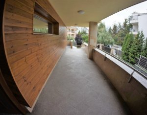 Birou de inchiriat in Zorilor, zona Gradinii Botanice, 120 mp, terasa, gradina