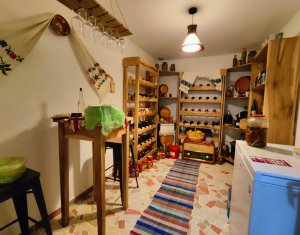 Casa individuala situata in inima naturii, zona Dealul Fanatelor