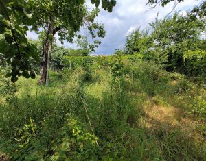 Terrain à vendre dans Cluj-napoca, zone Gheorgheni