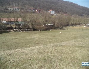 Terrain à vendre dans Floresti