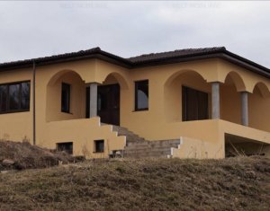 , 250m2 on Floresti