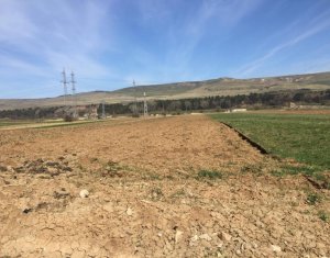 , 1000m2 on Floresti