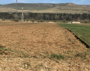 Telek eladó on Floresti