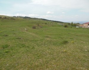 , 570m2 on Floresti