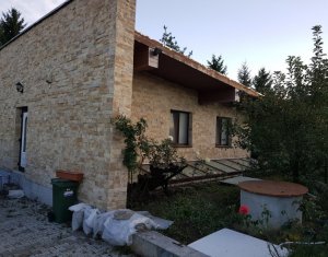 Maison 4 chambres à louer dans Gilau