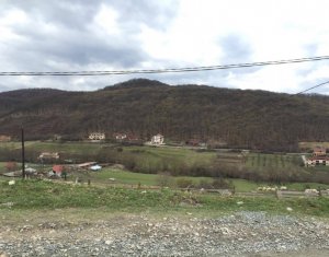 Telek eladó on Floresti