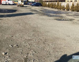 Telek kiadó on Floresti