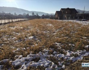 , 1500m2 on Floresti