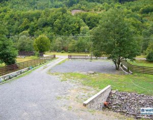Üzlethelyiség eladó on Valea Draganului