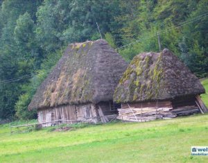 Üzlethelyiség eladó on Valea Draganului