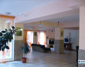 Üzlethelyiség eladó on Valea Draganului