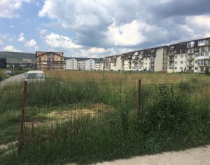 , 5740m2 on Floresti