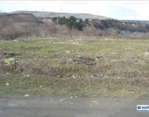 Terrain à vendre dans Floresti