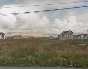 , 1650m2 on Cluj-napoca