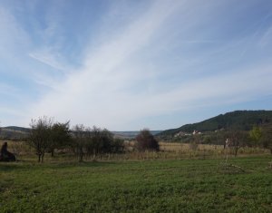 , 55m2 on Vlaha