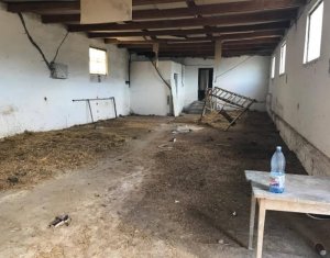Terrain à vendre dans Capusu Mare