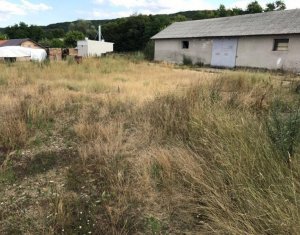 Terrain à vendre dans Capusu Mare