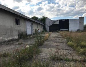 Terrain à vendre dans Capusu Mare