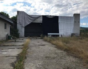 Terrain à vendre dans Capusu Mare