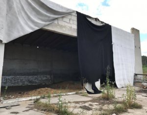 Terrain à vendre dans Capusu Mare