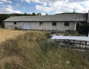 Terrain à vendre dans Capusu Mare