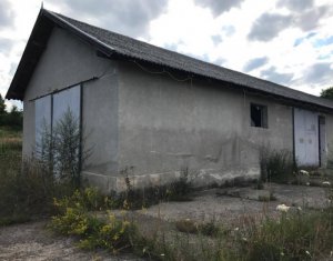 Terrain à vendre dans Capusu Mare