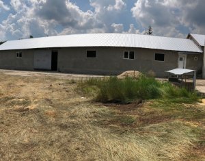 Ipari helyiség eladó, 500m2 on Cluj-napoca