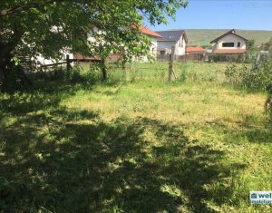 Telek eladó on Cluj-napoca