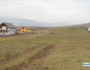 Terrain à vendre dans Cluj-napoca