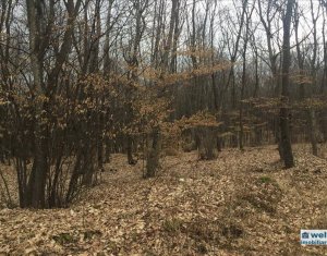 Terrain à vendre dans Cluj-napoca