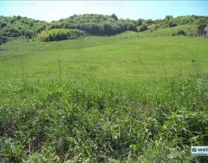 Terrain à vendre dans Cluj-napoca