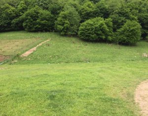 , 5700m2 on Cluj-napoca