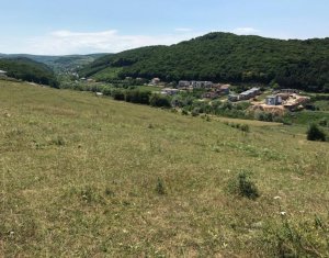 Telek eladó on Cluj-napoca