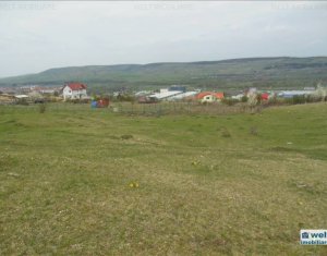 , 500m2 on Cluj-napoca