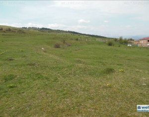 Telek eladó on Cluj-napoca
