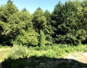 , 62m2 dans Cluj-napoca