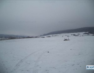 , 2000m2 dans Gilau
