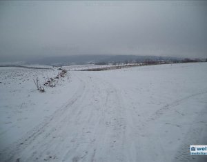 Telek eladó on Gilau