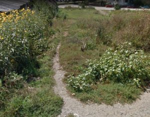 , 800m2 on Cluj-napoca